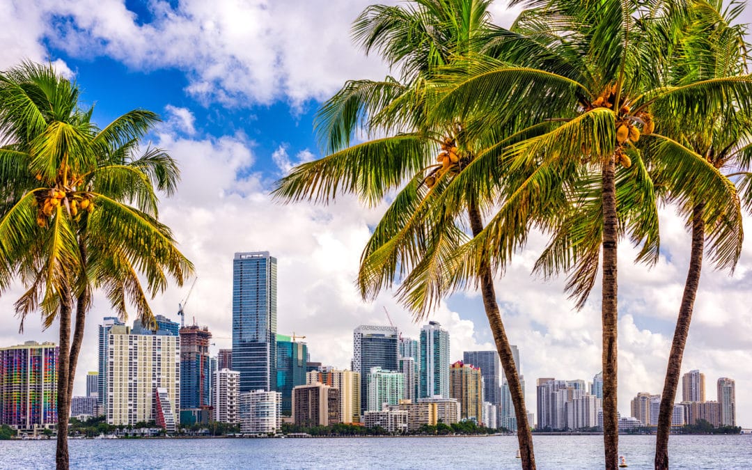 Florida Businesses Skyline