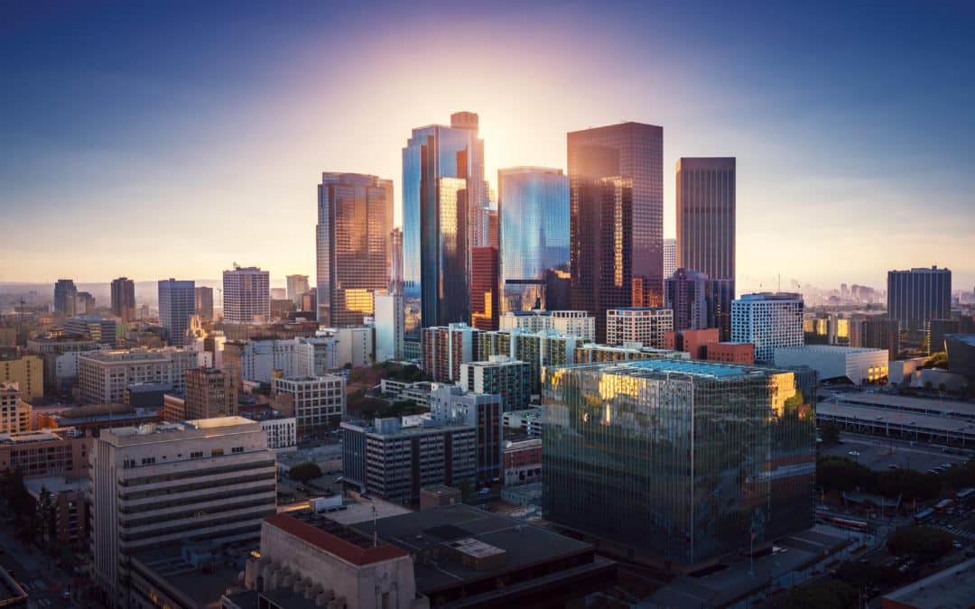 California Businesses: Los Angeles Skyline
